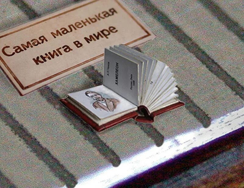 В какой книге меньше всего страниц. Самая маленькая книга Чехова хамелеон. Самая маленькая в мире книга хамелеон а.п Чехова. Самая маленькая в мире книга Чехова. Самая маленькая книга в мире хамелеон Чехова.
