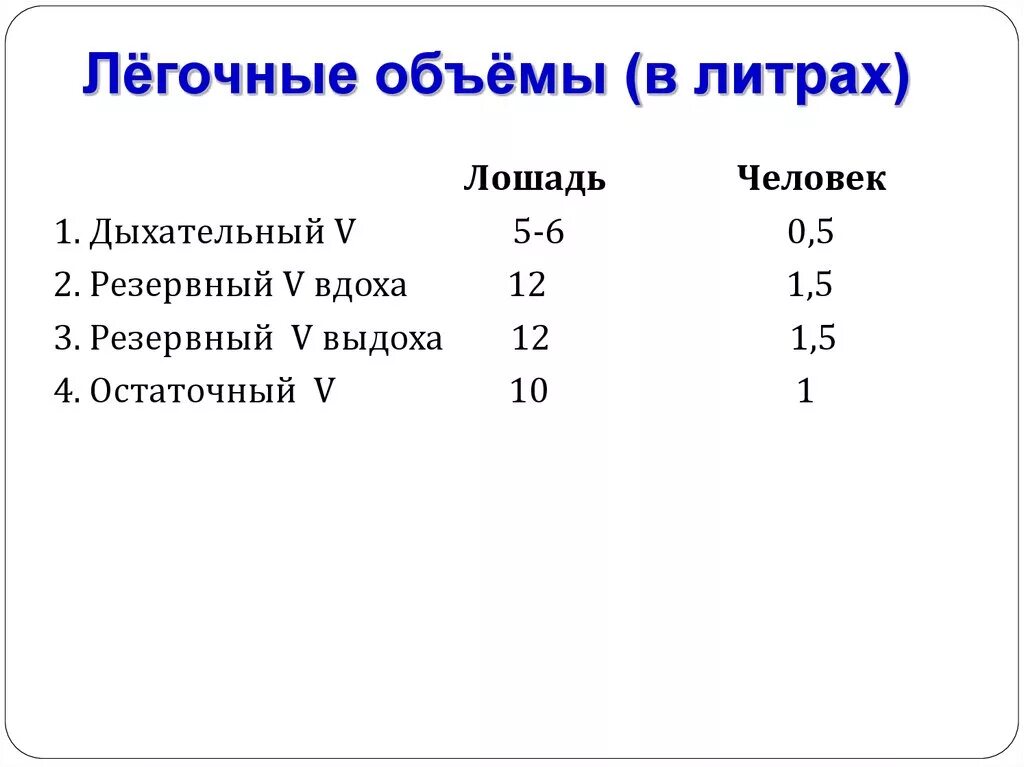 Сколько литров в лошади. Объем лошади в литрах. Сколько в литре лошадей.