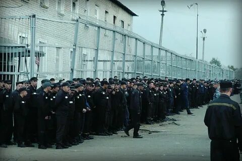 1 год колонии общего режима