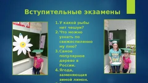 Презентация зеленые школы
