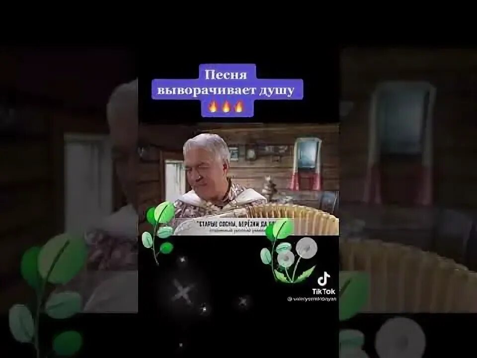 Шумит река жемчужная течет. Песня под старою сосной. Русский баянист. Зеленою весной под старою. Во поле берёзка стояла ноты и слова.