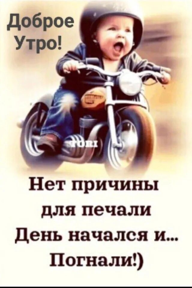 Нет сомнений нет печалей