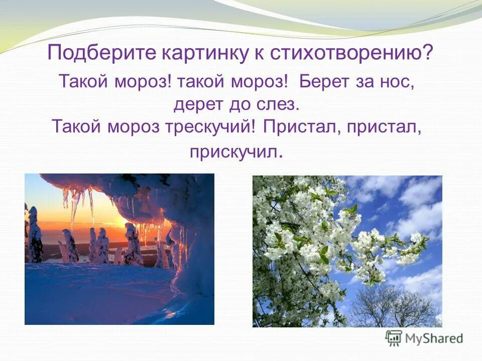 ветер стих и мороз забирал крепче