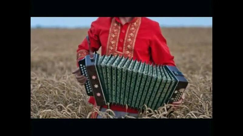 Гармошка гармошечка. Гармошка гармошечка