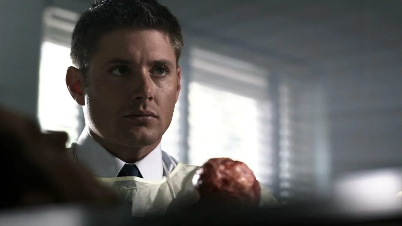 Сверхъестественное 4 6. Сверхъестественное 4 6. Сверхъестественное 4 6. Сверхъестественное желтая лихорадка. Сверхъестественное 4 6.