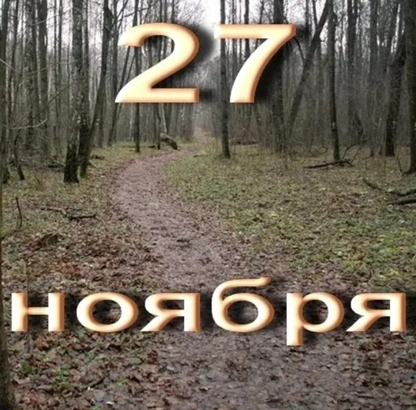 2010 ноябрь 27. 27 Ноября. 27 Ноября надпись. 27 Ноября картинки. 27 Октября в истории.