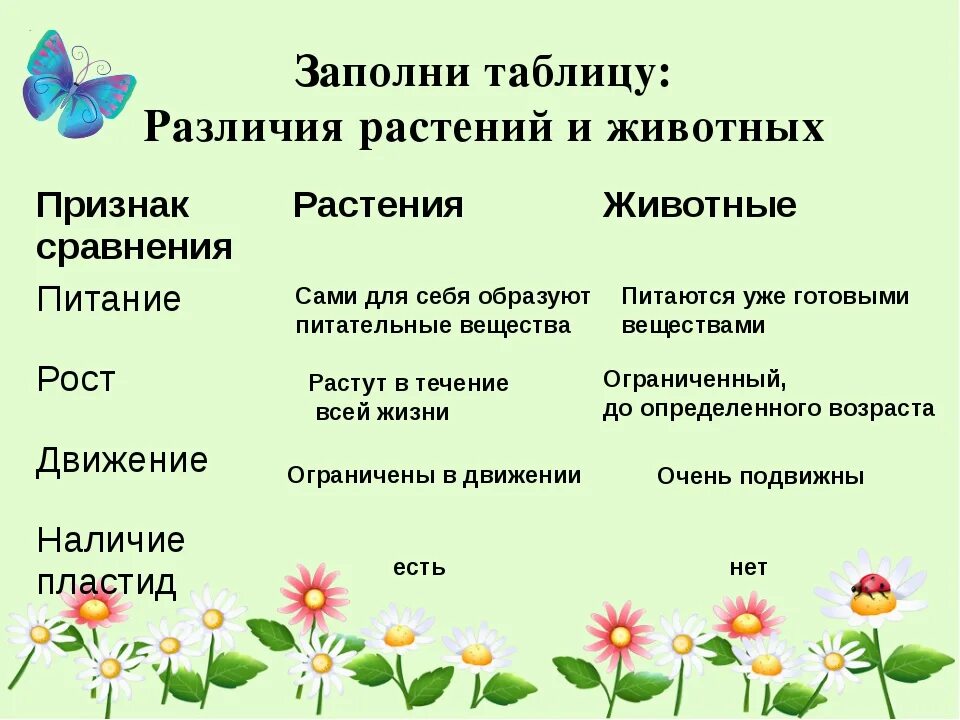 Признаки описывающие рост растения. Признаки растений и животных таблица. Биология 5 класс сходства и различия животных и растений. Различие между животными и растениями таблица 7. Таблица признаки сходства и различий растений и животных.