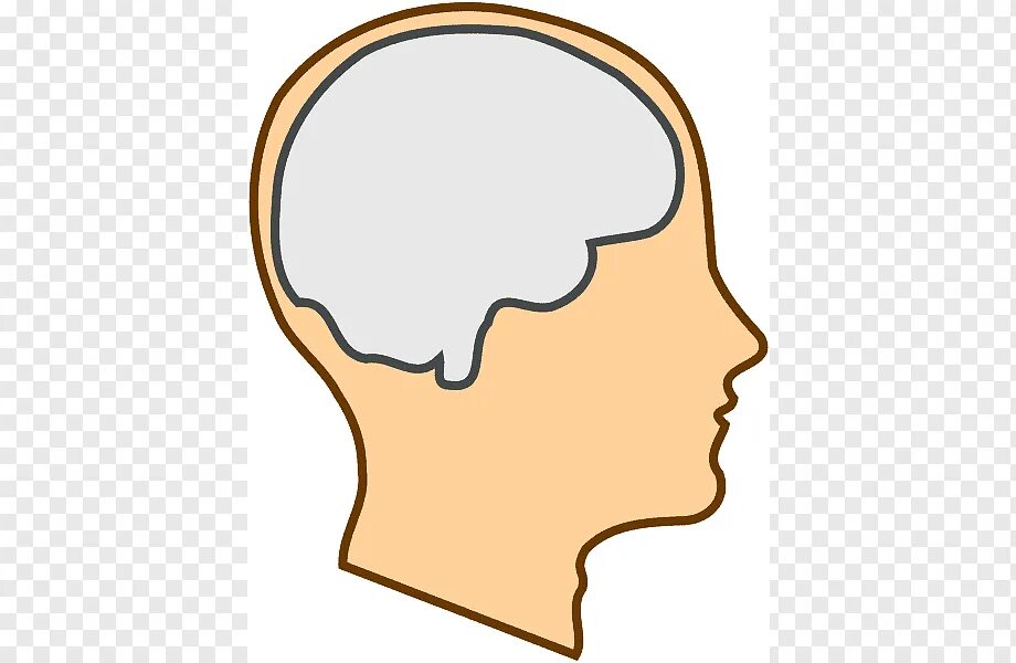 Brain face. Иконка голова ум. Ум голова картинка для детей на прозрачном фоне. Рисунок голова разум. Пустое лицо с мозгом.