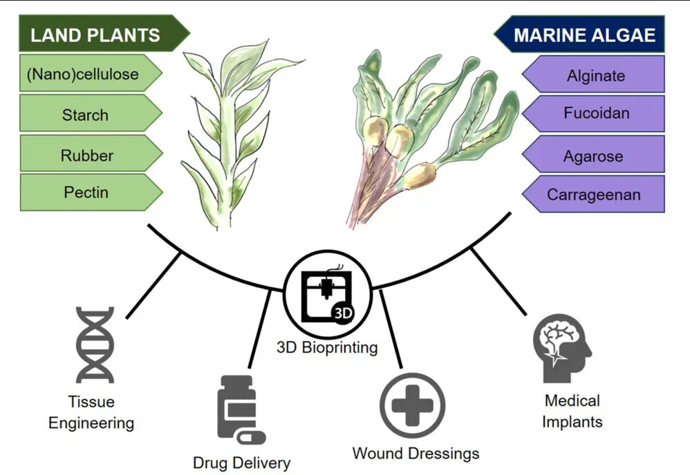 Водоросли нано. Ecology of Plant-derived Smoke. Plant-derived cytostatics. Pure Plant derived.