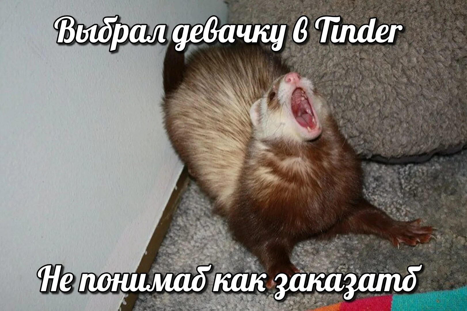 бежит орет. стой кричит. стой братцы стой кричит мартышка погодите прямая речь схема.