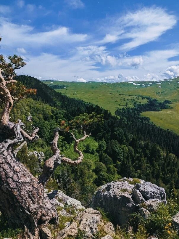 Нагорье лагонаки. Лаго наки альпийские луга. Лаго наки горы. Плато лагонаки смотровая. Даховская плато лаго-наки.