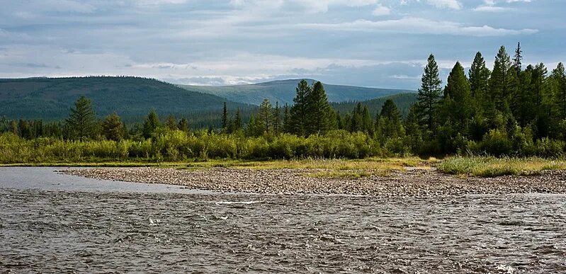 Маракан фото. Маракан бодайбо. Поселок маракан. Маракан бодайбо. Поселок светлый бодайбо.