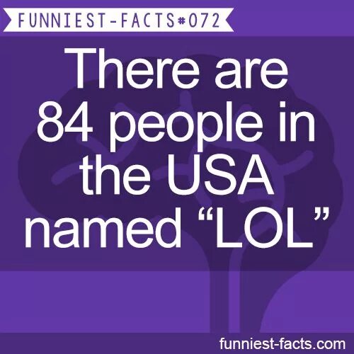 What is a fact. What is a fact