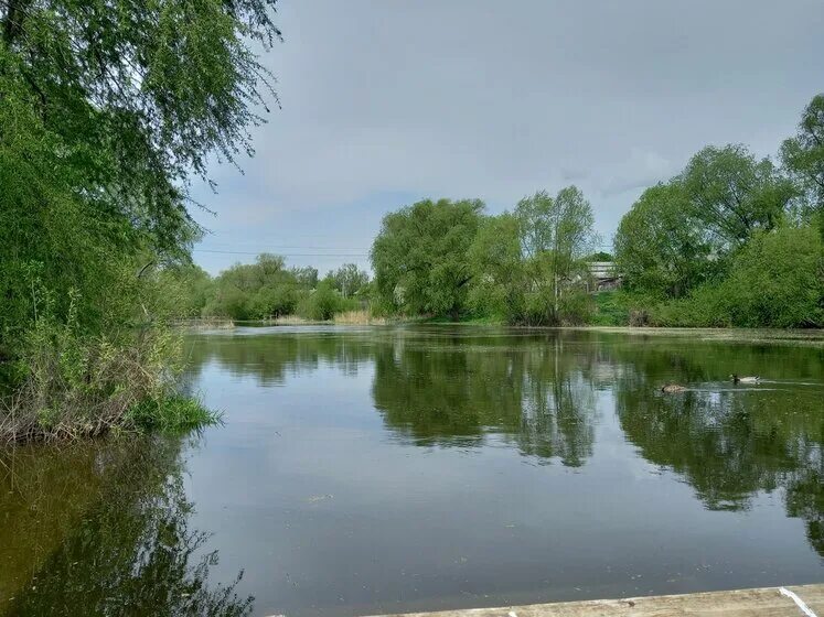 рязань деревня козловка. козловка рязанская область. деревня козловка красноярский край. село козловка рязанской области. монастырь в козловке рязанской области.