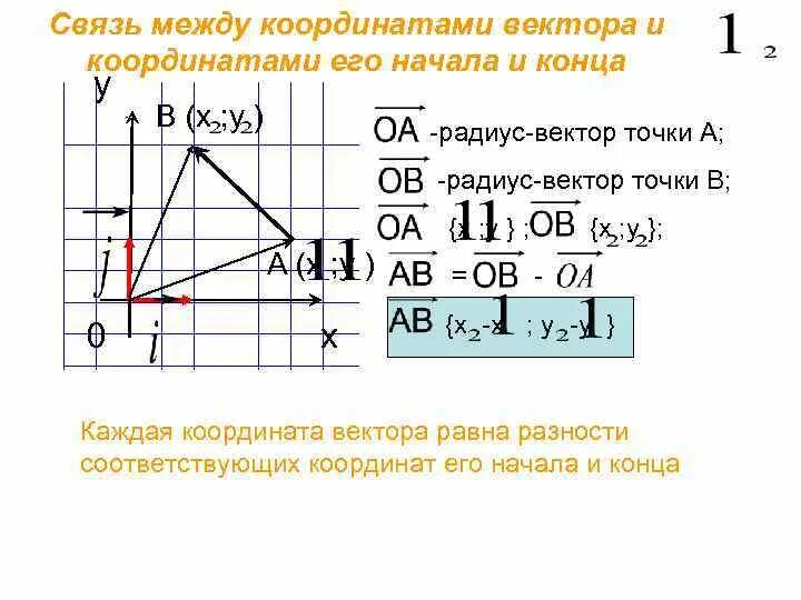 Найти число векторов координаты которых