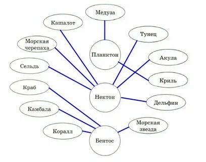 Жизнь в океане 7 класс география домогацких