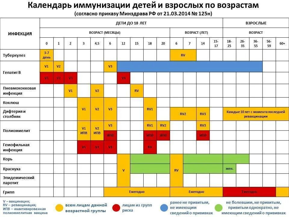 Какие прививки нужно делать обязательно. Календарь прививок для детей до 3 лет в России таблица 2022. Прививки детям по возрасту таблица 2021. Календарь прививок взрослым по возрасту таблица. Прививки по возрасту таблица взрослых обязательные.
