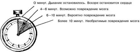 Дыхание времени 6