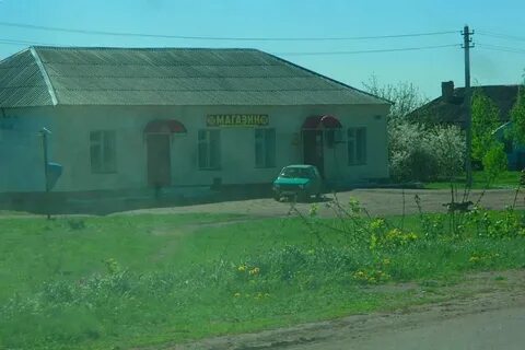 Свободная дубрава