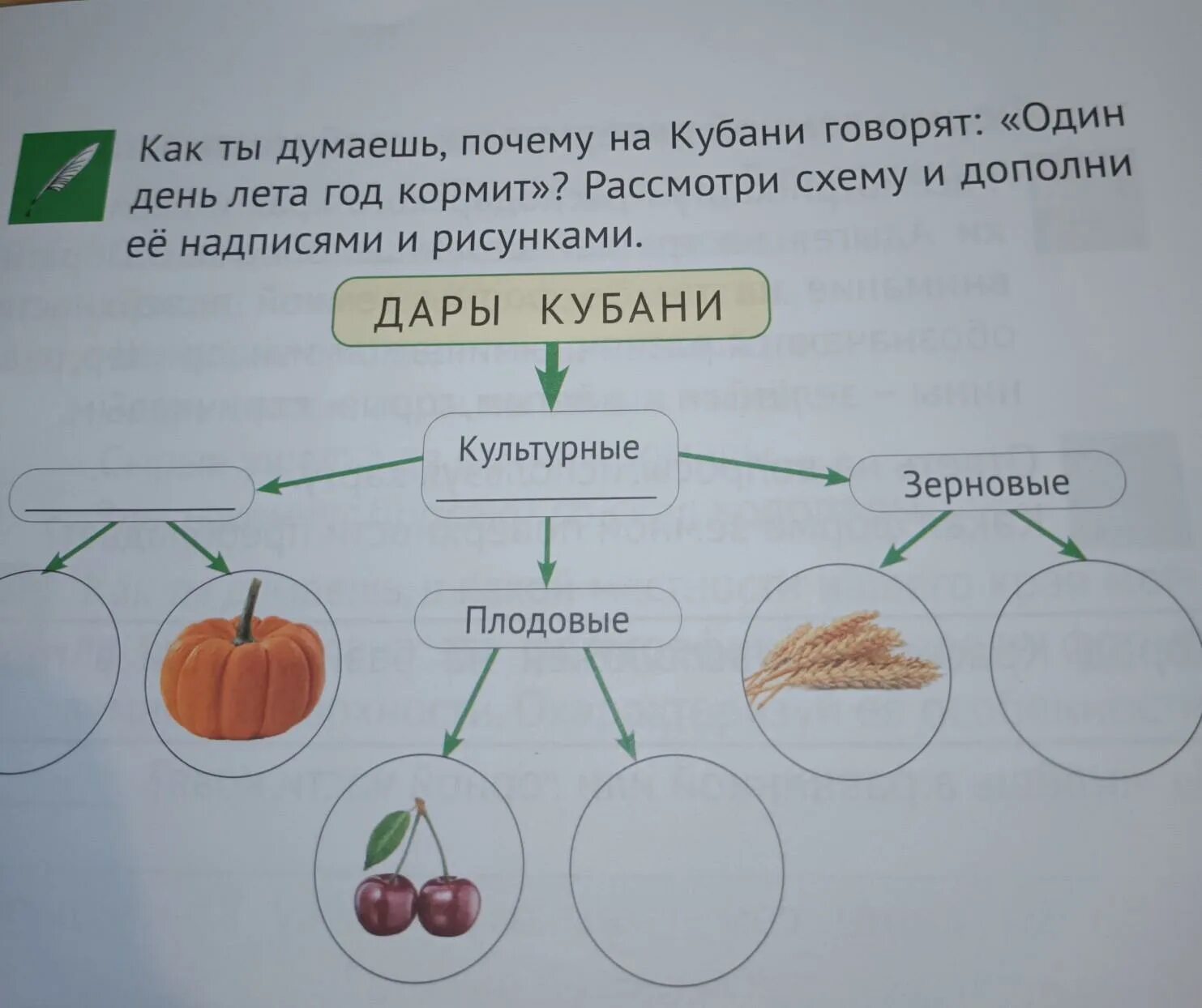 Примеры схем. Рассмотри схему расскажи по ней чего. Рассмотри и дополни схему. Схема слова названия. Рассмотрите схему сказуемого.