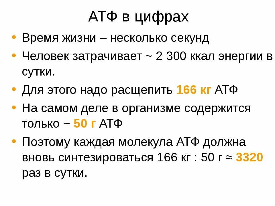 Температура атф. Время жизни АТФ. 300 Ккал энергии. Сколько АТФ синтезируется клетками человека в сутки. Ккал в АТФ.