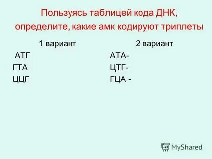 Какое число триплетов кодируют 27