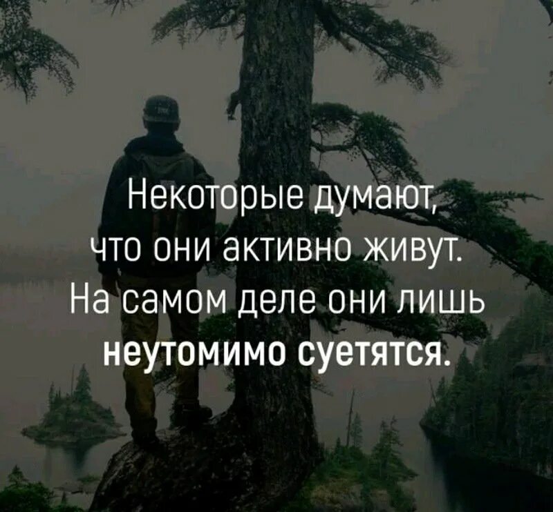 Жить долго понять характер многие думают. Цитаты про суету. Высказывания про суету жизни. Афоризмы про суету жизни. Суета афоризмы.