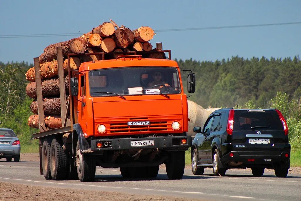 КАМАЗ 53213. КАМАЗ РИАТ лесовоз. Камаз5320 самосвал груженый лесом. КАМАЗ 43118 С дровами. Груженный грузовик