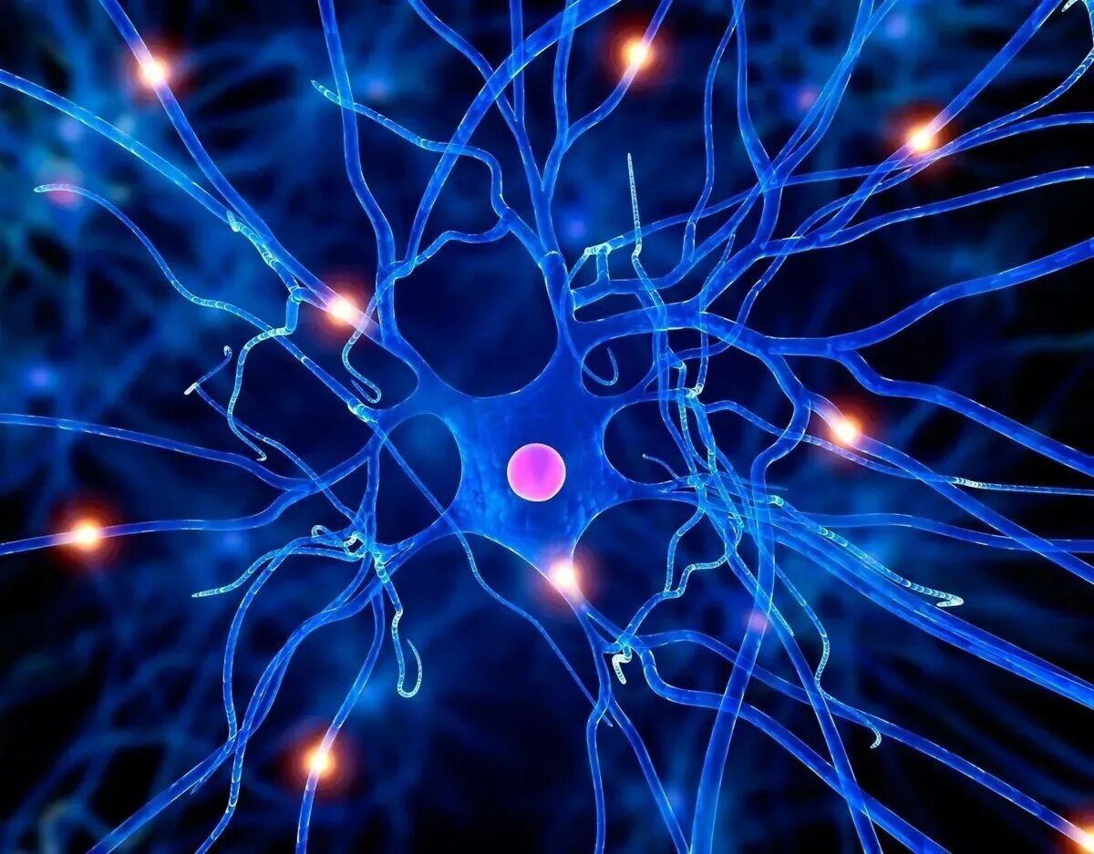 Нервная система человека память. Нервная система Нейрон. Аксон нейрона микрофотография. Нейрон клетка головного мозга.