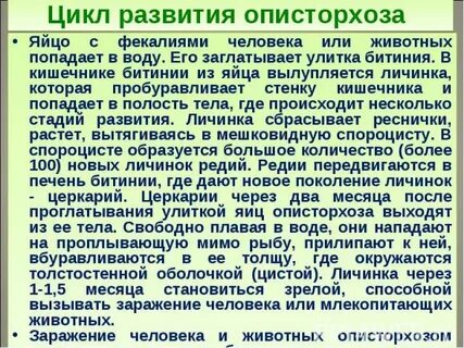 Лечение после описторхоза бильтрицидом
