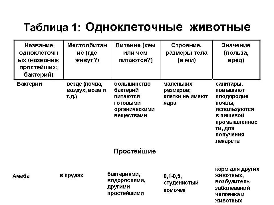 Сходства и различия в строении одноклеточных. Таблица по биологии таблица одноклеточных организмов. сходства и различия одноклеточных организмов. одноклеточные организмы таблица. таблица по одноклеточным животным.
