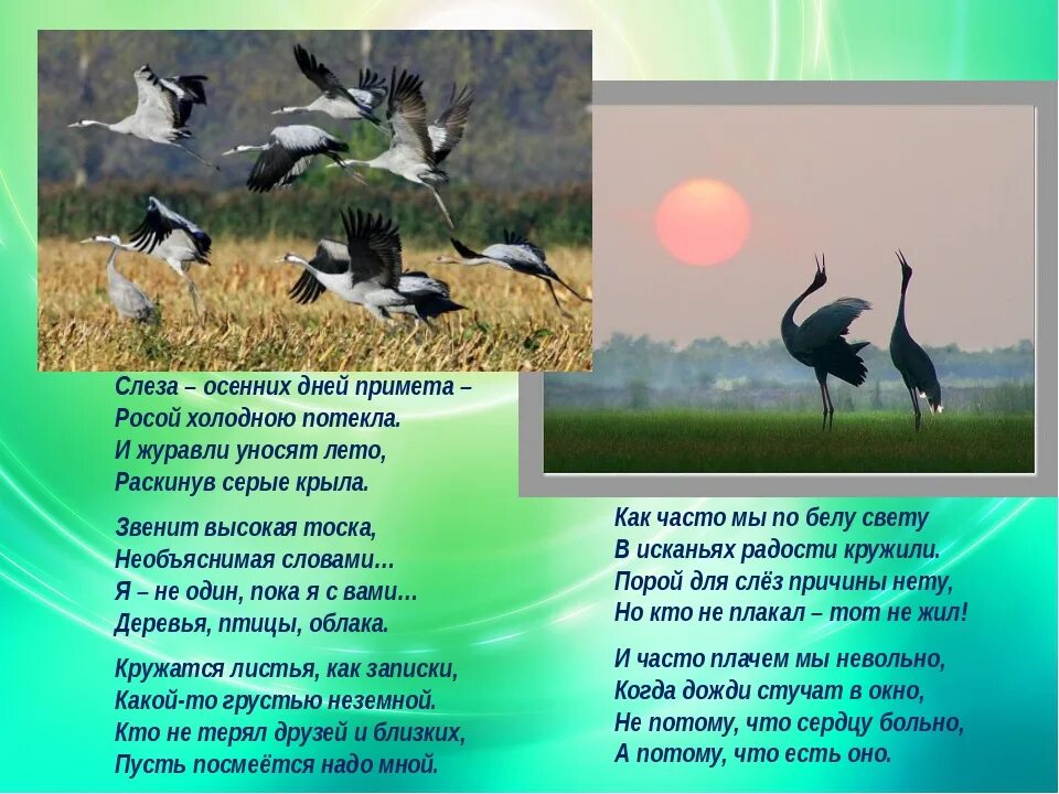 Найди слово в слове журавль. Стихотворение Журавли. Журавль для дошкольников. Загадка про журавля для детей. Журавли уносят лето.