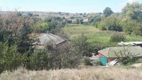 Погода плешаков каменский