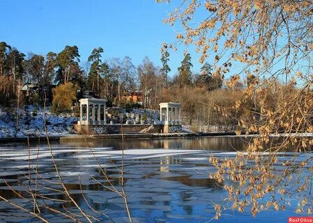 Сайт серебряного бора москва