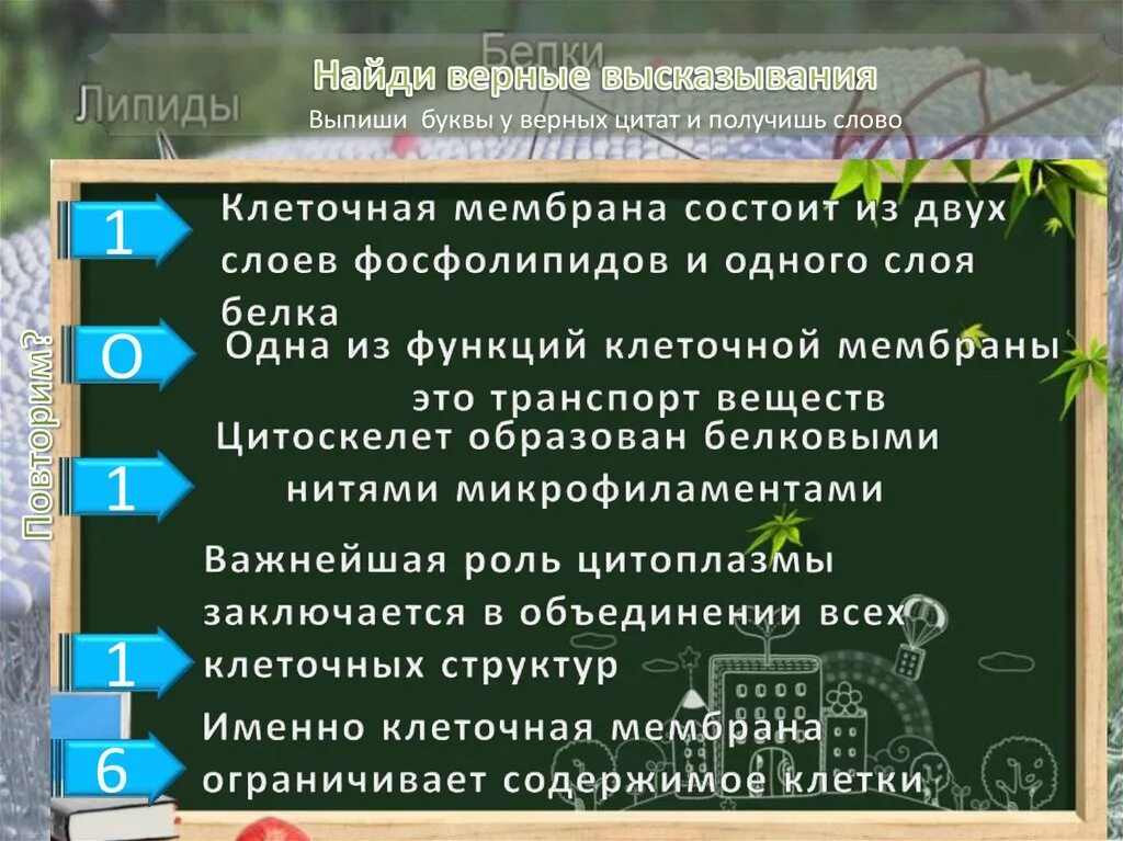 Отметьте верные высказывания о природе северной америки. Найди верные высказывания. Верные высказывания в информатике. Верные высказывания любые. Какие высказывания верны.