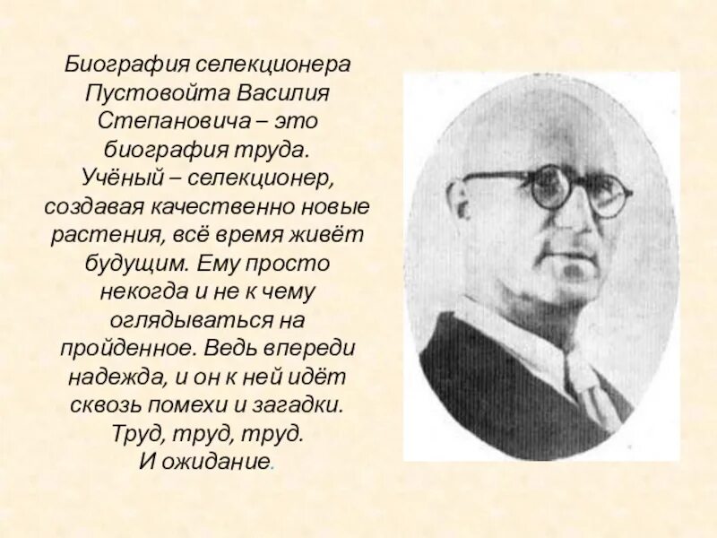 Пустовойт селекционер достижения. Биография пустовойта. Пустовойт академик селекционер. Биография пустовойта. Биография пустовойта.