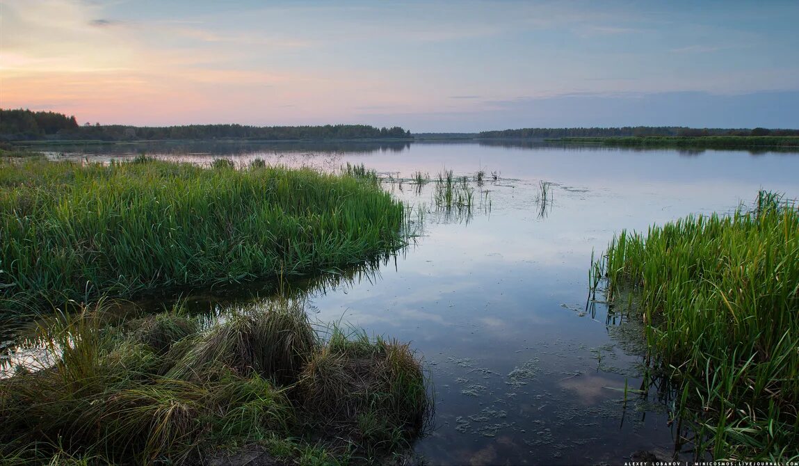 Водоемы костромы