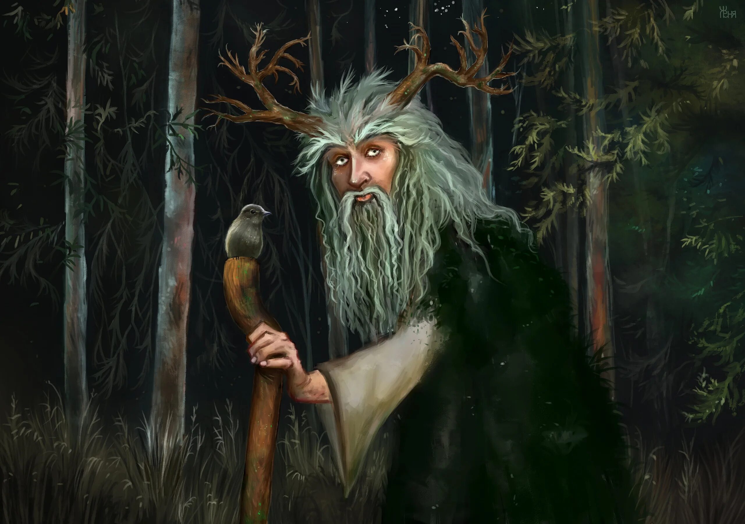 Леший. Леонид иванов леший. Легенда о лешем кратко. Как вызвать лешего. Как вызвать лешего.