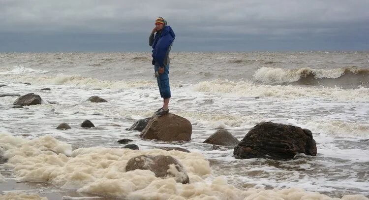 Приливы и отливы в онеге. Белое море приливы. Белое море приливы и отливы. Онега белое море отлив. Отлив на белом море.