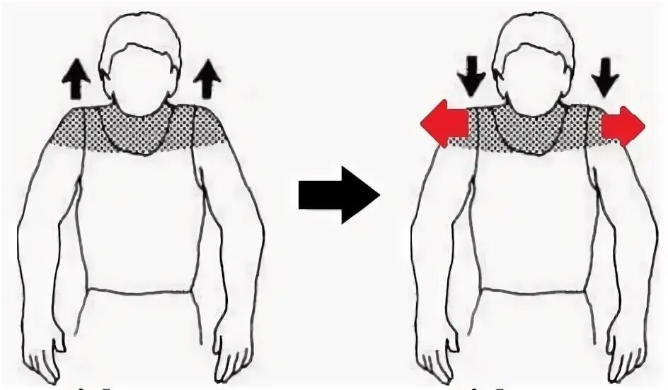 Поднимаем и опускаем плечи. Поднятие и опускание плечей. Пожимание плечами упражнение. Поднятие плеч упражнение. Почему плечи вверх