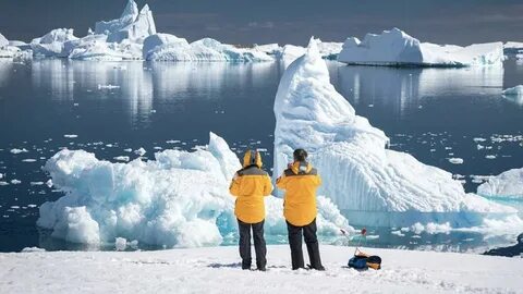 Norma tale antarctic