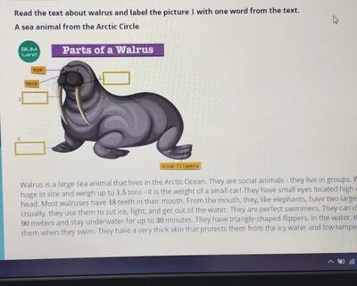 The text is about
