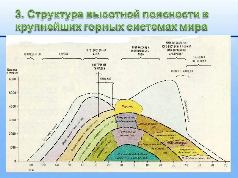 Объяснить различия структуры высотной поясности. Схема ВЫСОТНОЙ поясности. Структура ВЫСОТНОЙ поясности. Схема ВЫСОТНОЙ поясности анд. Схемы ВЫСОТНОЙ поясности горных систем.