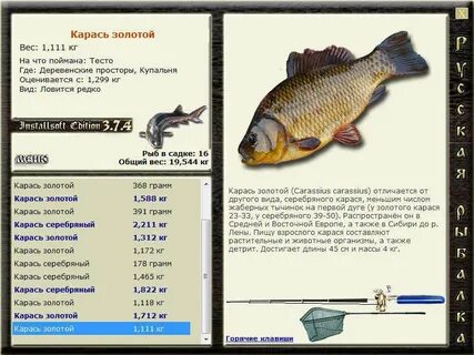 Рыбалка 3 карася
