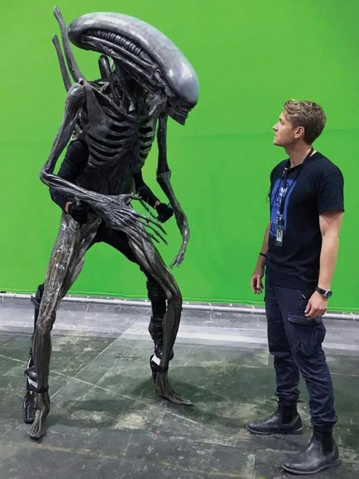 чужой грид. чужой 1 ксеноморф. чужой из полимерной глины. ксеноморф человек чужой 4. чужой и хищник.