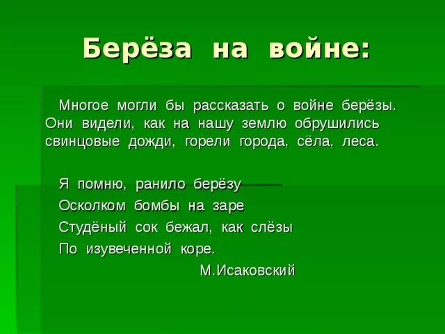 Стихотворение белая береза я помню ранила березу. Белая береза я помню ранило березу стих. Береза стих о войне. Я помню ранило березу стих. Стих о войне я помню ранило березу.