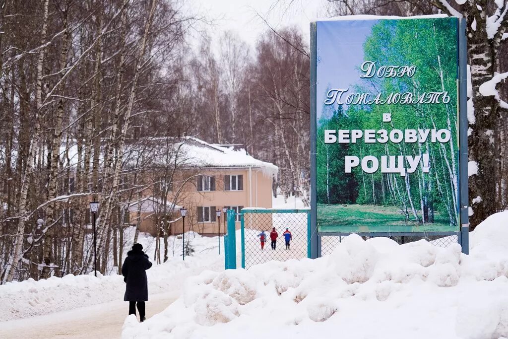 Березовая роща томск. Береза березовый березняк. Весенняя березовая роща. Березовая роща иваново лагерь. Березовая роща вдали на горизонте.