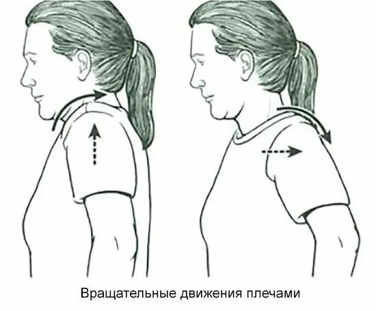 Вращение плечами упражнение. Круговые вращения плечами. Упражнение круговые вращения плечами. Вращения в плечевом поясе. Шагайте плечом