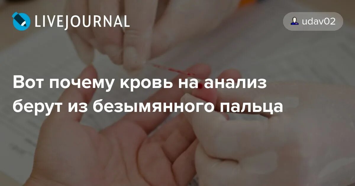 Почему кровь берут с безымянного пальца. Правильное ударение. Плодоносить ударение. Анекдот про сдачу крови. Нарост ударение.