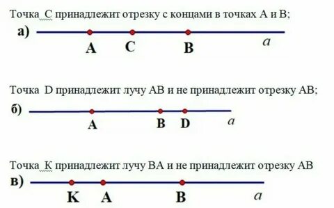 Аня отметила на прямой 39 отрезков